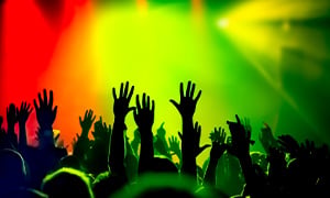 Reggae Fest Image