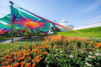 The New York Botanical Garden 