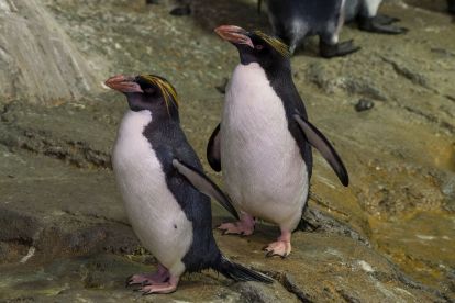 Central Park Zoo