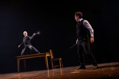 Harry Potter and the Cursed Child - Broadway