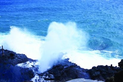 Oahu Grand Circle Island Tour - Halona Blowhole, Waimea Valley & Dole Plantation