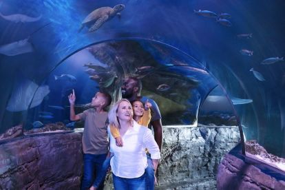 SEA LIFE Aquarium Grapevine