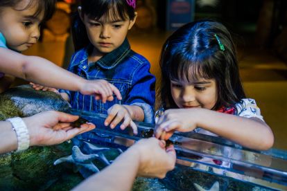 SEA LIFE Aquarium Grapevine