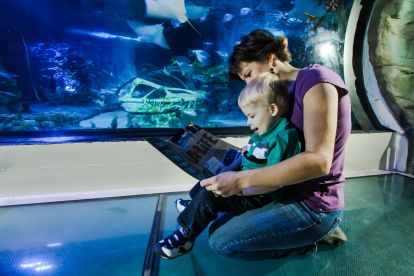 SEA LIFE Aquarium Grapevine